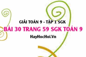 Giải bài 30 trang 59 SGK Toán 9 tập 1